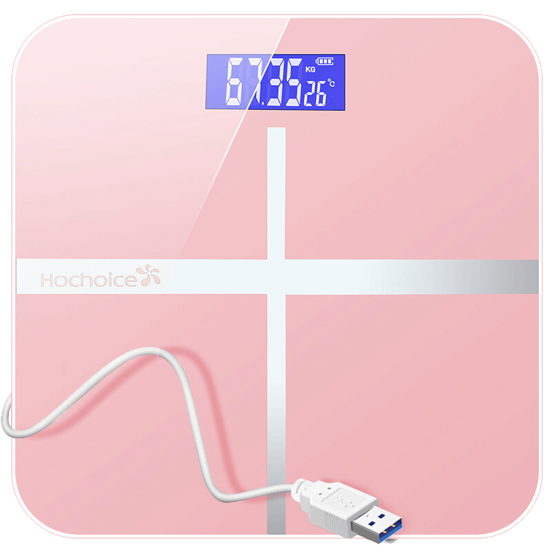 V3 rechargeable electronic weighing scale