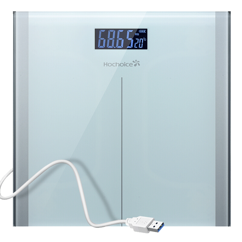 V9 electronic weighing scale