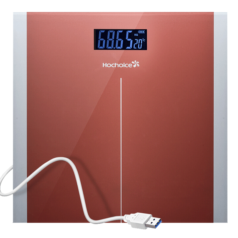 V9 electronic weighing scale